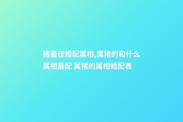 猪最佳婚配属相,属猪的和什么属相最配 属猪的属相婚配表-第1张-观点-玄机派